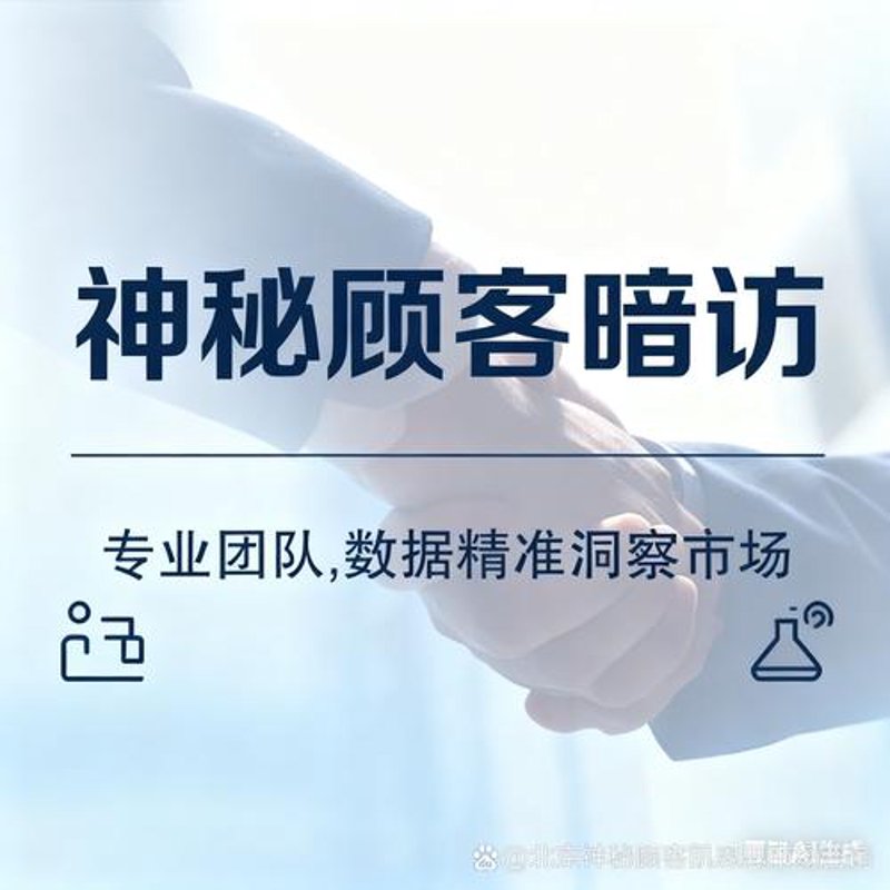 上海信息咨询行业的活力与变革